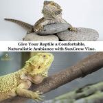 SunGrow Flexible Reptile Vine for Terrariums