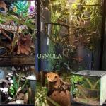 Bendable Moss Vine for Reptile Tanks - 6.5 FT