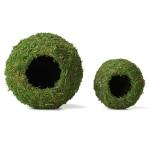 Mossy Caves for Reptiles and Frogs - 4”