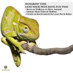 SunGrow Flexible Reptile Vine for Terrariums