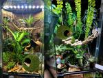 Mossy Caves for Reptiles and Frogs - 4”