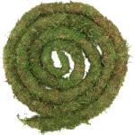 Bendable Moss Vine for Reptile Tanks - 6.5 FT