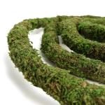 Bendable Moss Vine for Reptile Tanks - 6.5 FT