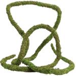 Bendable Moss Vine for Reptile Tanks - 6.5 FT