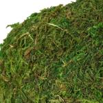 Mossy Caves for Reptiles and Frogs - 4”