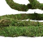 Bendable Moss Vine for Reptile Tanks - 6.5 FT