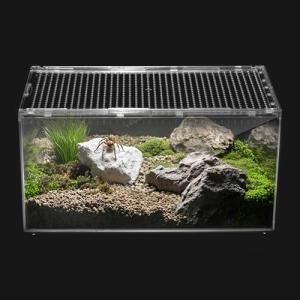 Clioran Reptile Terrarium Starter Kit for Pets