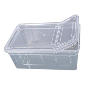 Hypeety Small Reptile Breeding and Feeding Box