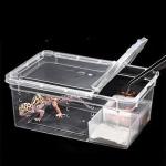Hypeety Small Reptile Breeding and Feeding Box