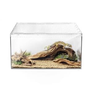 Versatile Reptile Terrarium for Multiple Pets