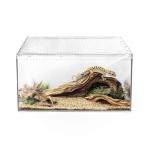 Versatile Reptile Terrarium for Multiple Pets