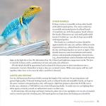 Leopard Gecko Care Guide, 2nd Edition