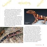 Leopard Gecko Care Guide, 2nd Edition