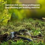 Sukh Green Sphagnum Moss for Reptile Habitats