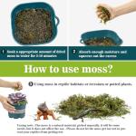 Sukh Green Sphagnum Moss for Reptile Habitats