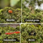 Sukh Green Sphagnum Moss for Reptile Habitats