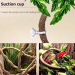 Crested Gecko Hanging Plants and Coconut Hideout
