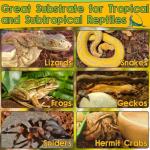 2-Pack Natural Coconut Chips for Reptile Bedding