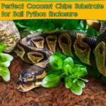 2-Pack Natural Coconut Chips for Reptile Bedding