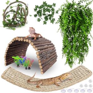 Bearded Dragon Hammock with Jungle Climbing Vines