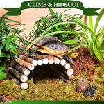Bearded Dragon Hammock with Jungle Climbing Vines