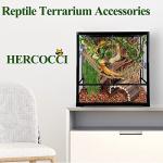 Bearded Dragon Hammock with Jungle Climbing Vines