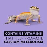 Zilla Multivitamin Spray for Reptiles with Carotene