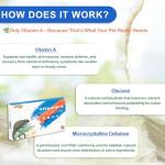 Reptile Vitamin A Supplement for Healthy Growth