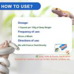 Reptile Vitamin A Supplement for Healthy Growth