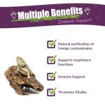 Reptaid Herbal Supplement for Small Reptiles