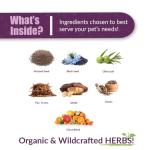 Reptaid Herbal Supplement for Small Reptiles
