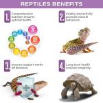Gargeer 4oz Reptile Multi-Vitamin Powder Supplement