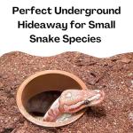 Reptile Cave Hide for Snakes and Geckos