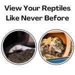 Reptile Cave Hide for Snakes and Geckos