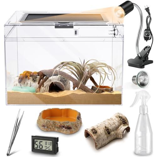 Reptile Species & Starter Kits