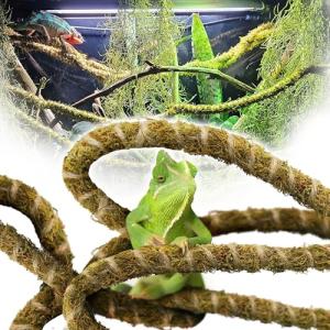 Duspro 10FT Bendable Reptile Climbing Vines