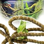 Duspro 10FT Bendable Reptile Climbing Vines