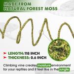 Duspro 10FT Bendable Reptile Climbing Vines