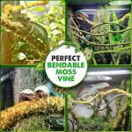 Duspro 10FT Bendable Reptile Climbing Vines