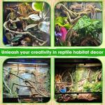 Duspro 10FT Bendable Reptile Climbing Vines