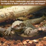 10LB Coconut Fiber Chips Substrate for Reptiles