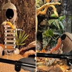 Coco Den with Ladder for Reptile Habitats