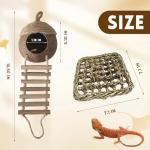Coco Den with Ladder for Reptile Habitats