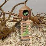 Coco Den with Ladder for Reptile Habitats