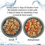 High Calcium Dried Fruit & Veggie Mix for Reptiles