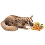 High Calcium Dried Fruit & Veggie Mix for Reptiles