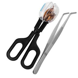 Feeding Tool and Cleaning Supplies for Small Pets