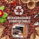 Coconut Chip Bedding for Reptiles and Amphibians
