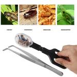 Feeding Tool and Cleaning Supplies for Small Pets