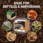 Coconut Chip Bedding for Reptiles and Amphibians